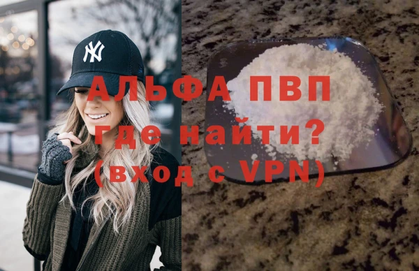 гидра Иннополис