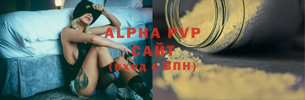 apvp Инсар