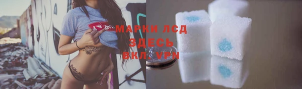 apvp Инсар