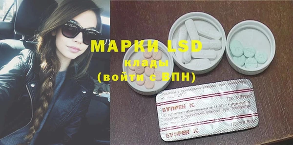 apvp Инсар