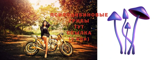 apvp Инсар