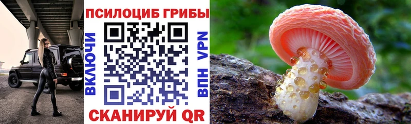 Купить закладки  Старый Крым  Галлюциногенные грибы Psilocybine cubensis 